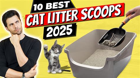 10 Best Cat Litter Scoops of 2024 .